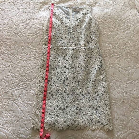 HP LOFT Lace Dress with Pale Blue Underlay NWT Women’s Size 8P - Picture 6 of 9